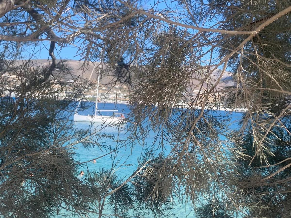 Kerylos , Au Coeur De Parikia, Avec Jardin Dom wakacyjny Páros